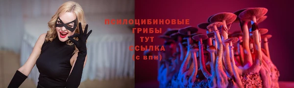таблы Алзамай