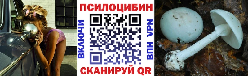 Псилоцибиновые грибы Psilocybine cubensis  Оленегорск 